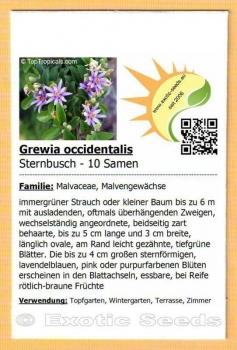 Grewia occidentalis, 10 Samen